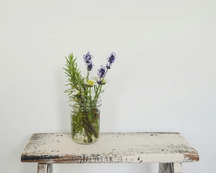 purple flowers are growing from the bottom of a small jar