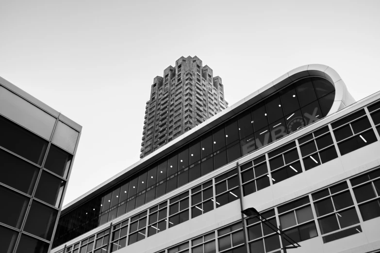 two large buildings in the background with windows