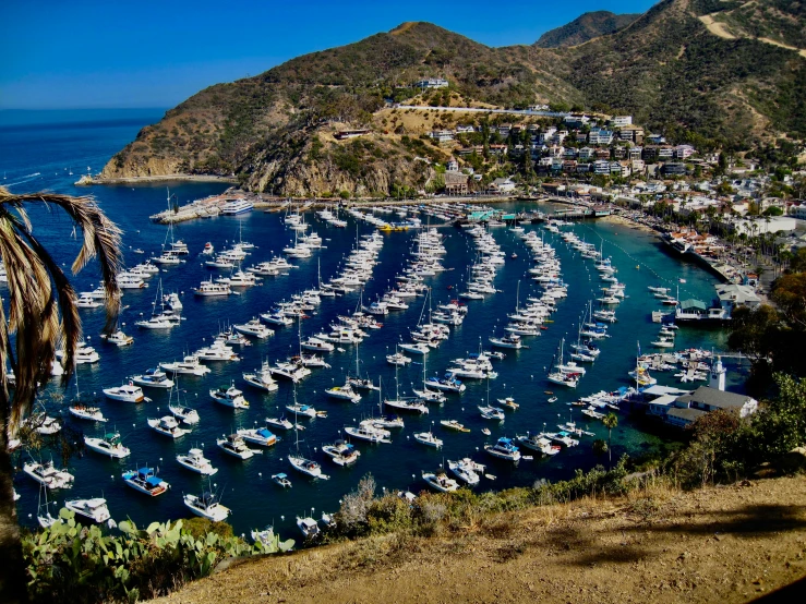 a crowded boat marina on the shore with many boats