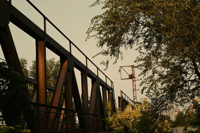 there are several trees around the fence of this bridge