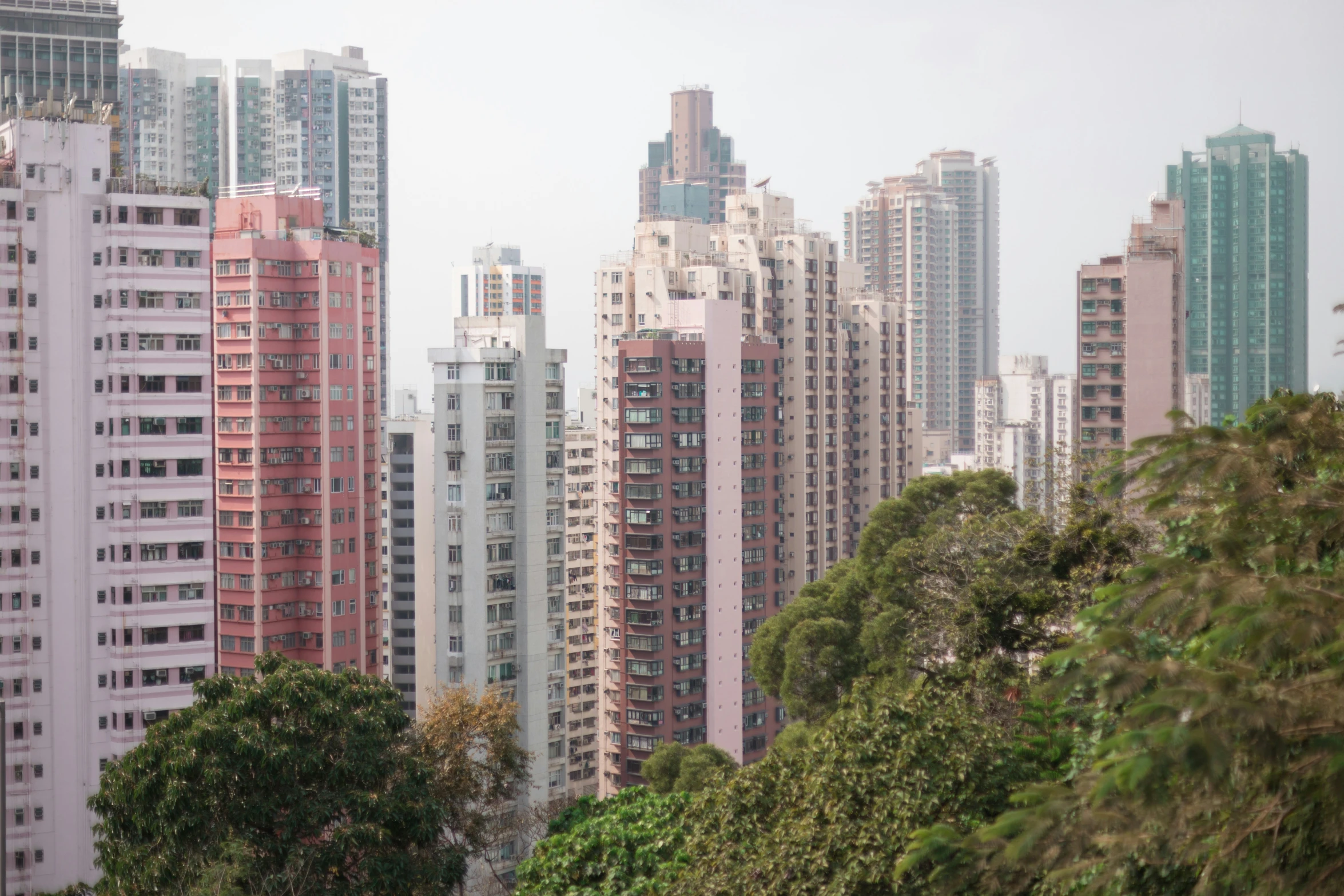 lots of buildings and trees in the city