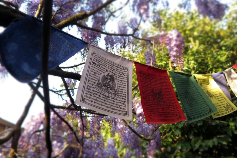 the colored sheets are hanging in the air by the tree