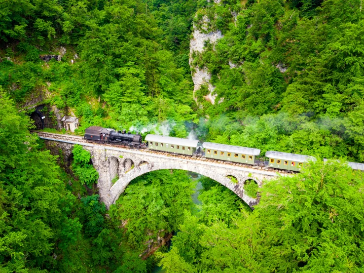 a train crossing a stone bridge over a forest