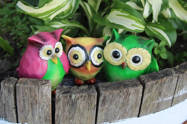three owl figurines sitting in a planter with green leaves