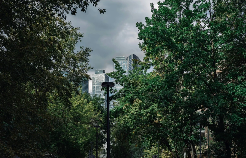 park with benches and trees around city