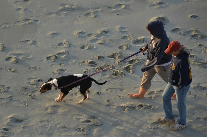 two people walk their dog on a leash in the sand