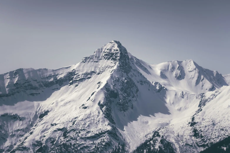 a snow covered mountain side with lots of trees