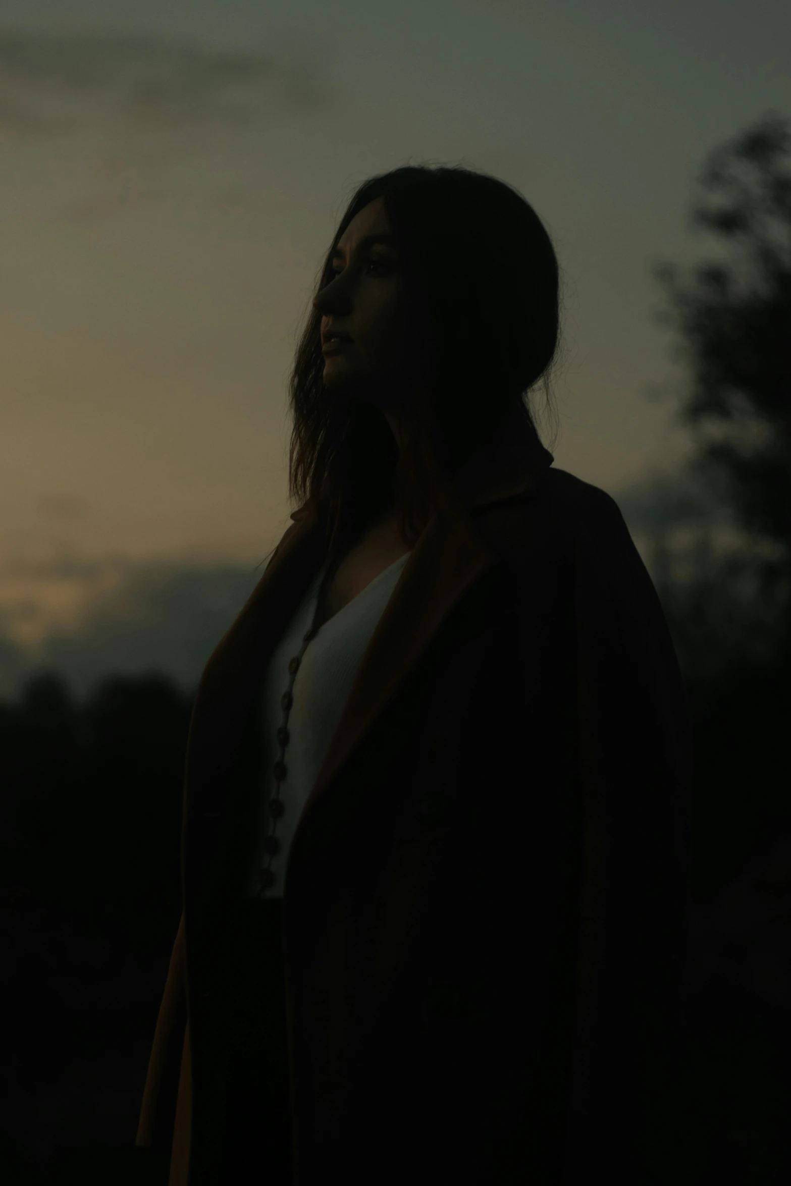 a woman standing in front of a sunset in the dark