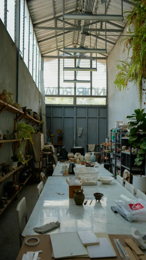 a room full of potted plants with lots of storage on the walls