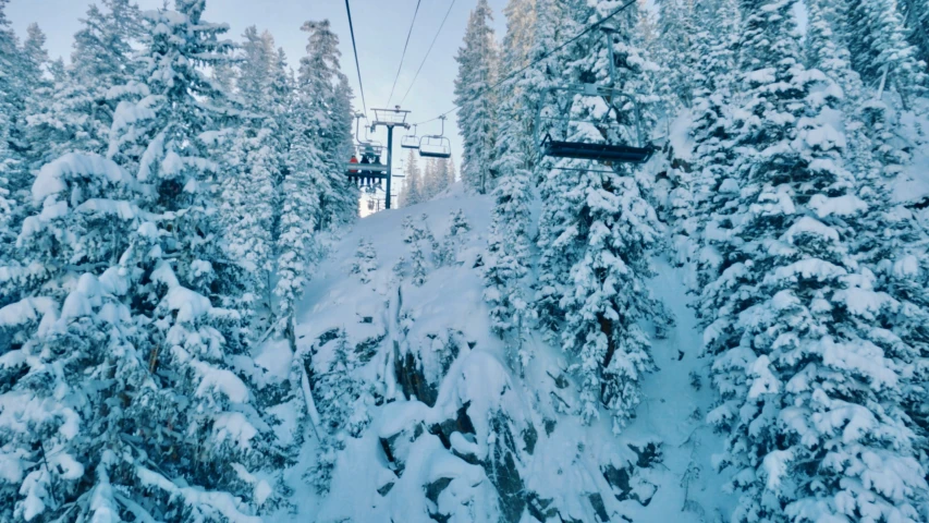 ski lift above tree covered mountains with snow on the trees