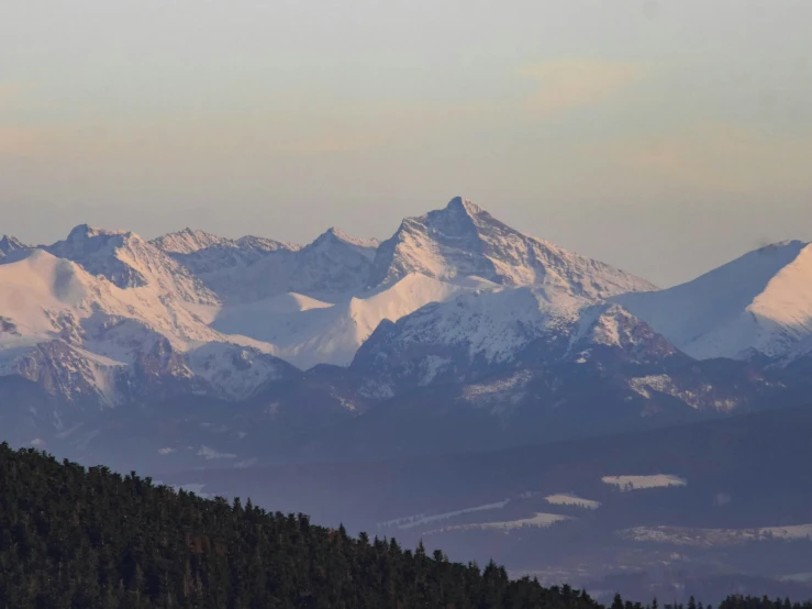 a group of snow covered mountains with forest around them