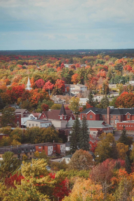 a town with many trees in the fall colors