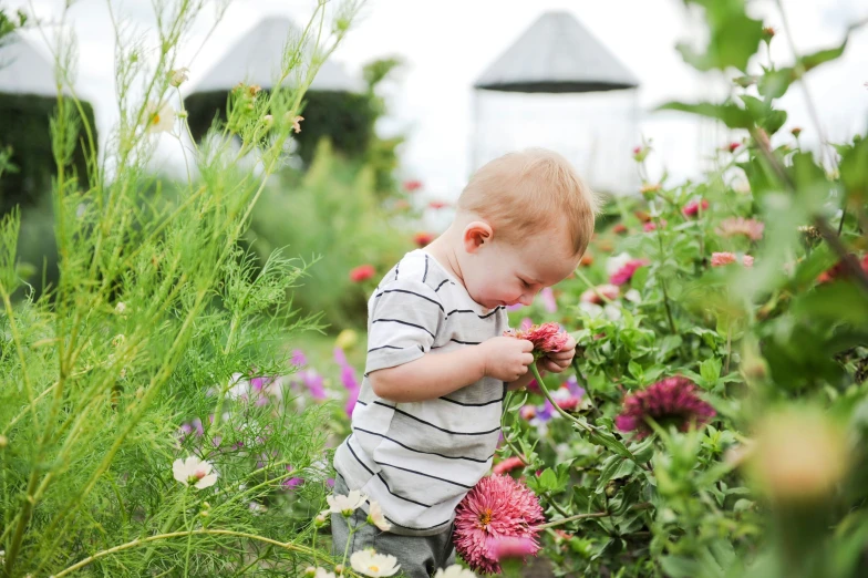 a little boy is playing in the field of flowers