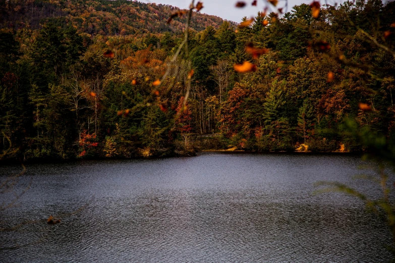 the small lake is surrounded by trees and a hill