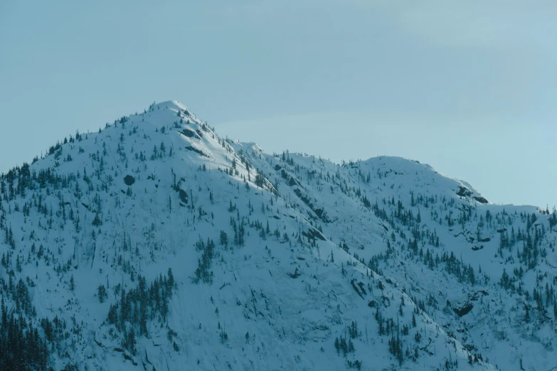 a snow - covered mountainside with lots of trees and a lone skier