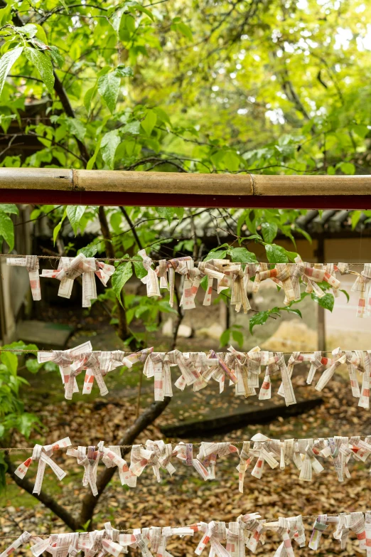 cards with tags are on a clothesline in front of trees