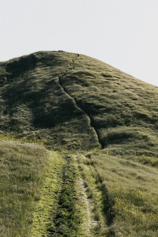 a grassy field with dirt trail leading up it to a ridge