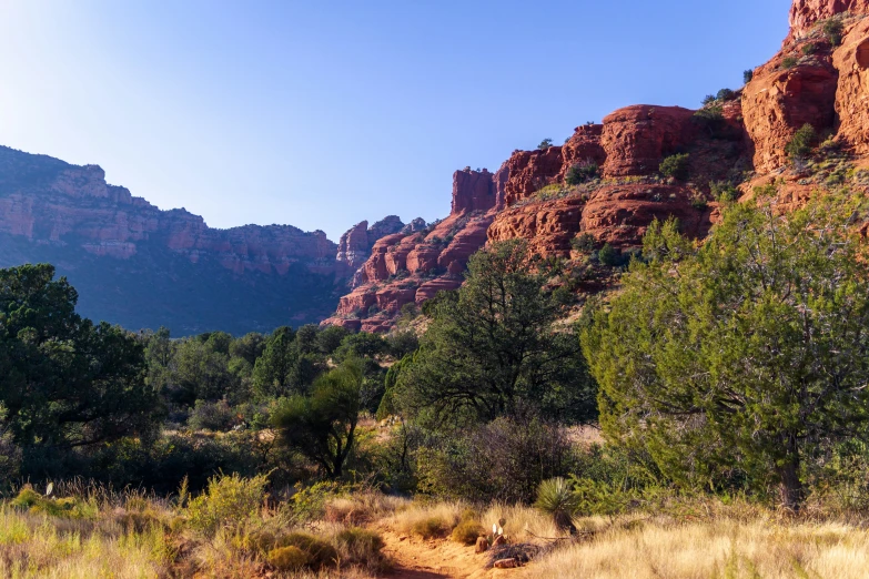 a desert is surrounded by trees and rocks