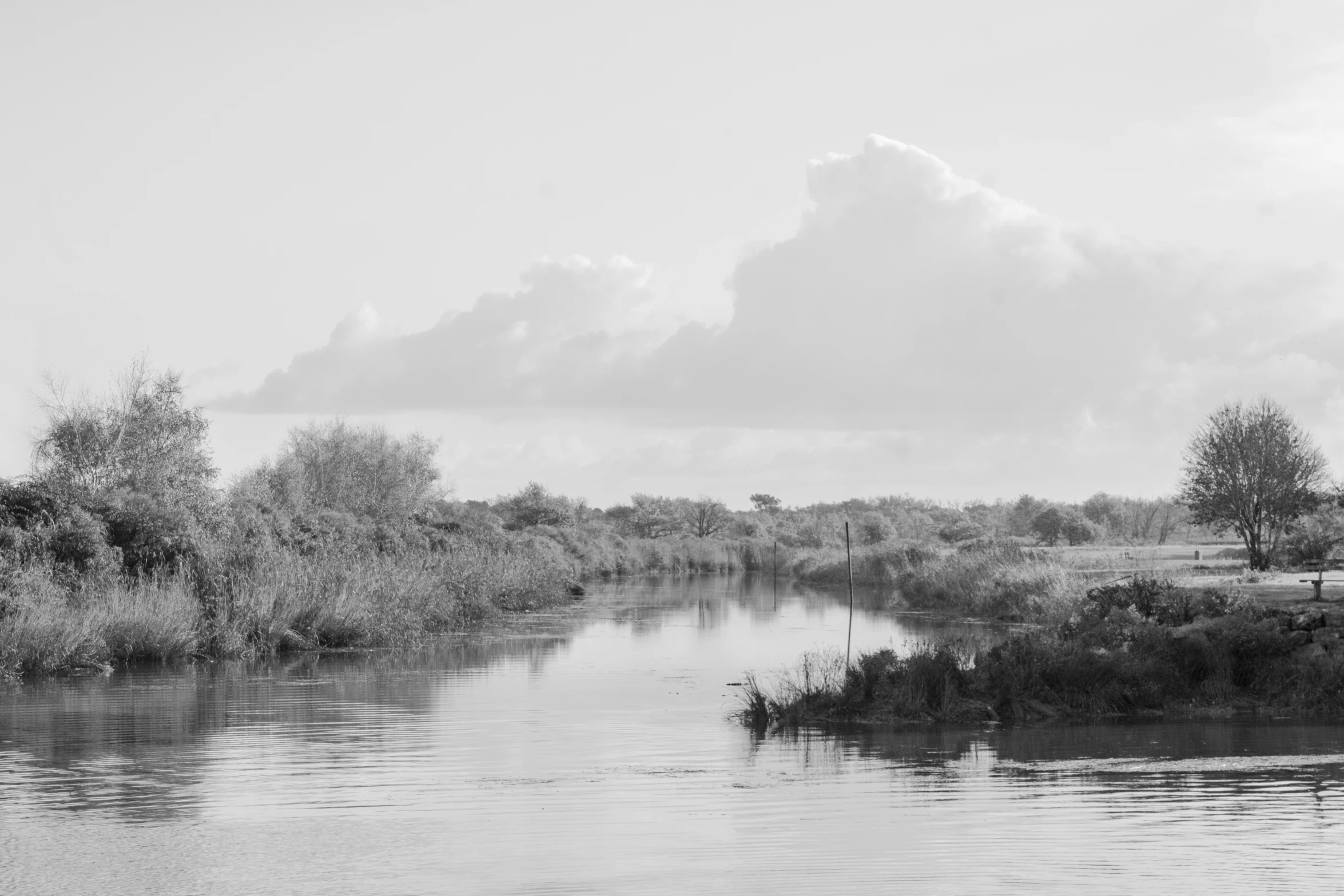 an empty river runs through a forest near a rural scene