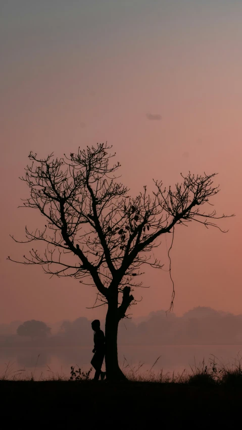 a person stands by a tree with the sun setting in the background