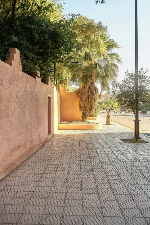 a long line of trees along a concrete path