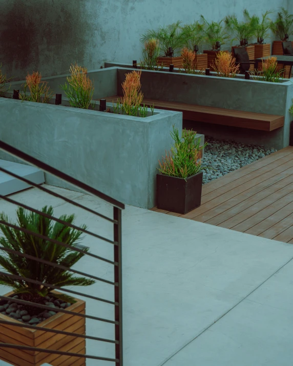 this is an outdoor garden area with many pots