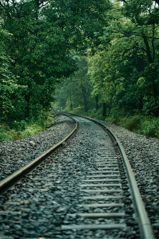 a railroad track runs through the trees in the day