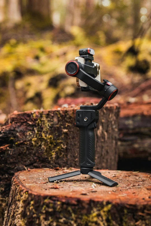 a camera with a tripod on a tree stump in the forest