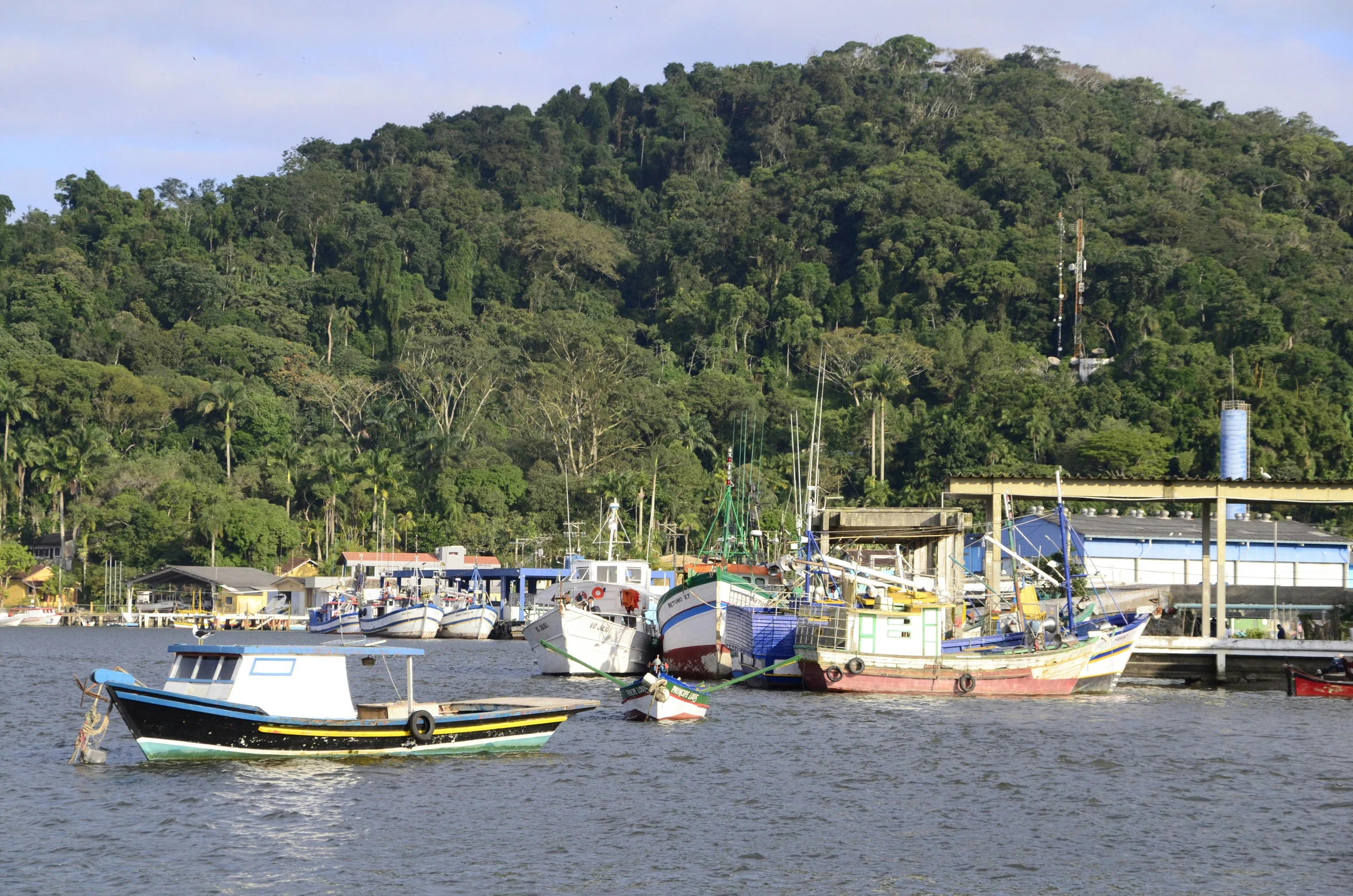 small boats in the water and forest with houses