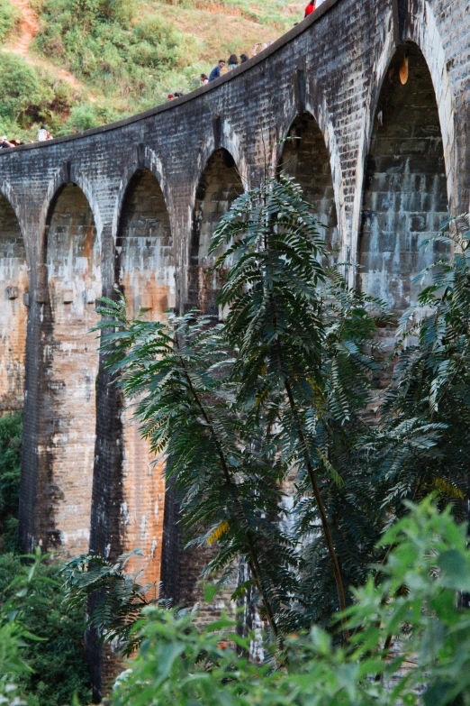 the person is standing on the roof of an old brick train bridge