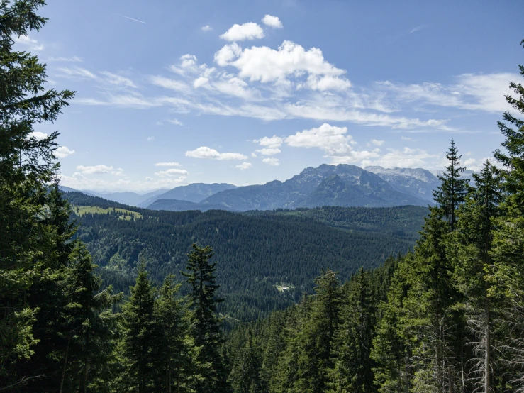 a mountain view is viewed through a tree - lined forest