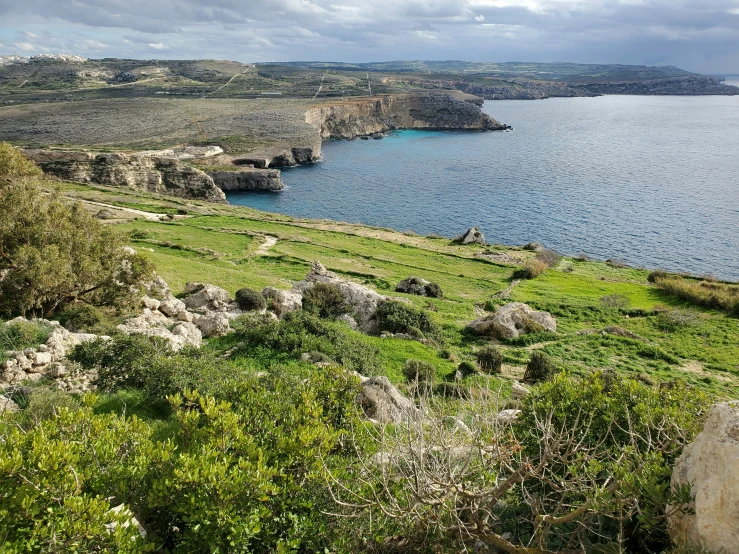 a grassy area by the water on a cloudy day