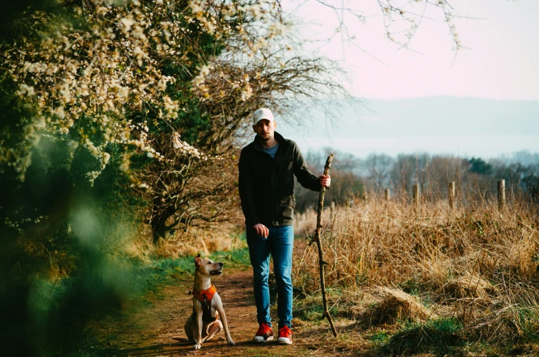 a man walks through the woods with two dogs