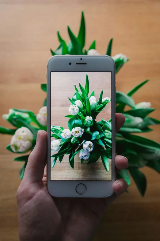 a cell phone with a floral arrangement behind it
