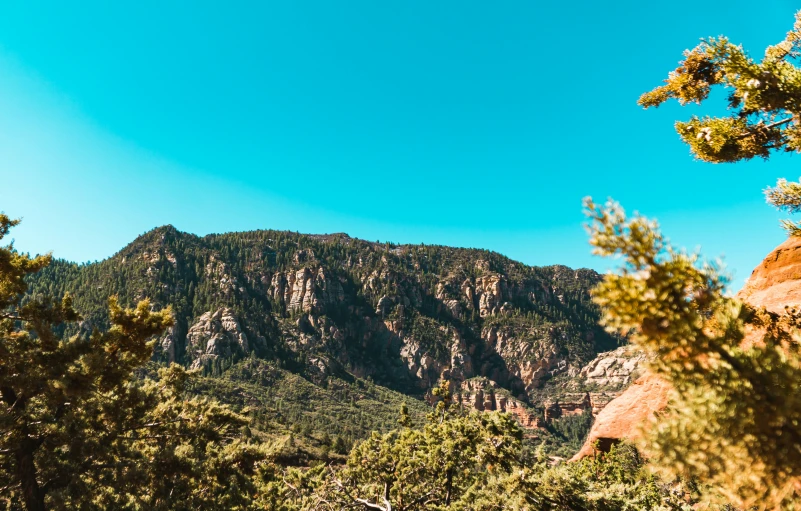 tall mountains and trees are in the foreground