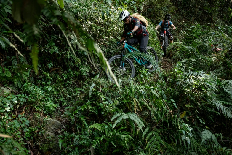 two people with backpacks ride their bikes in the woods