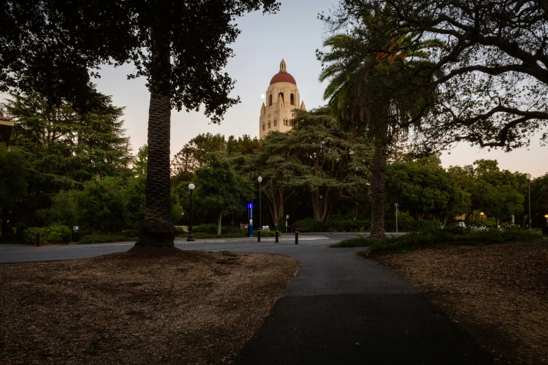 a tree lined walkway with buildings in the background