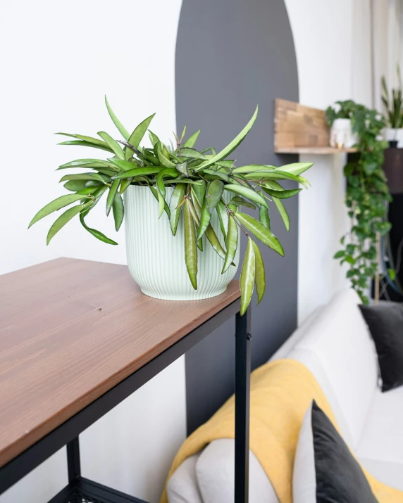 a potted plant is on top of the small table