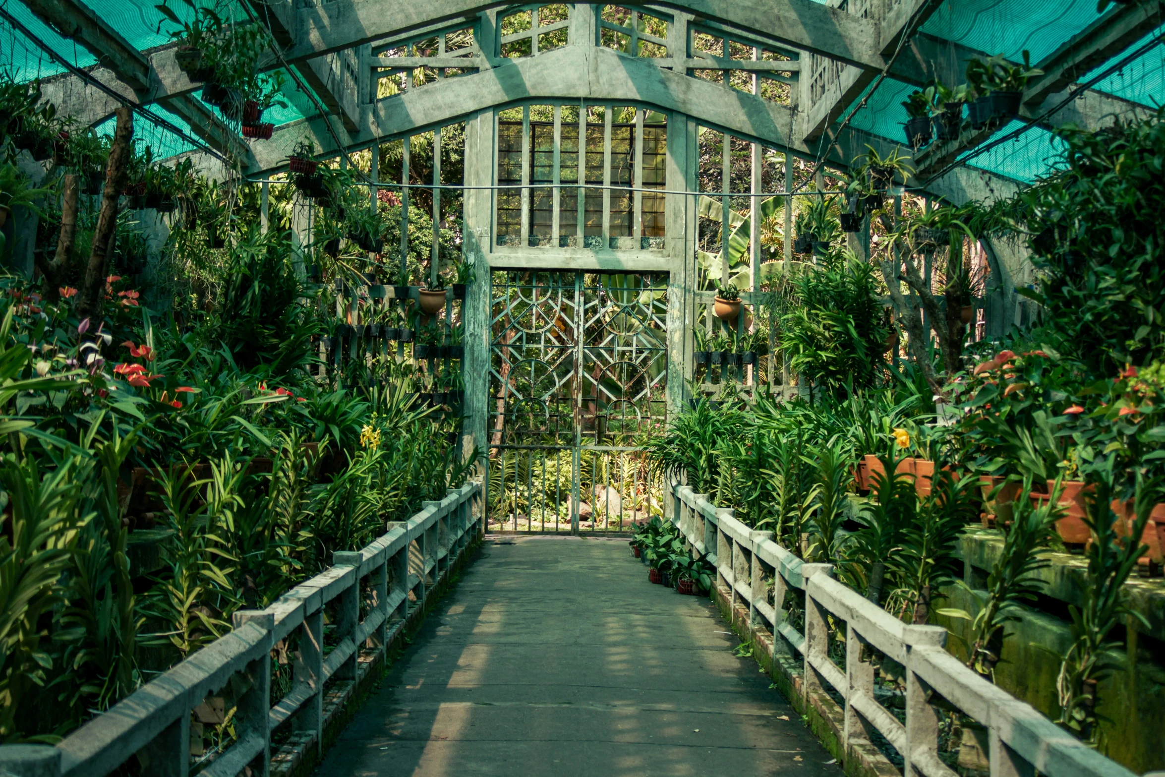 a walkway that is lined with lots of potted plants