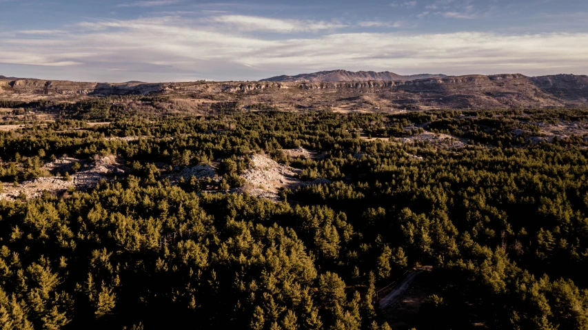 trees cover the mountains with large rocks in the foreground