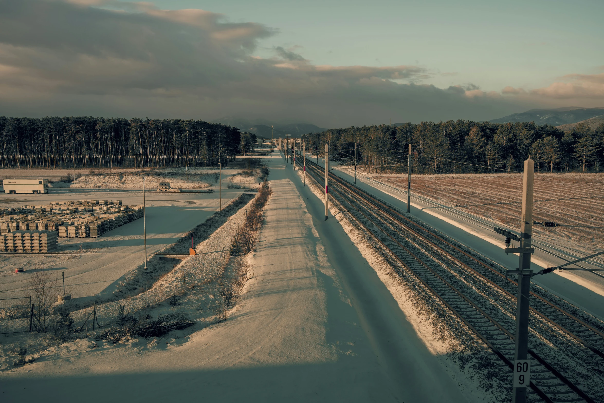 a train on tracks with trees in the background