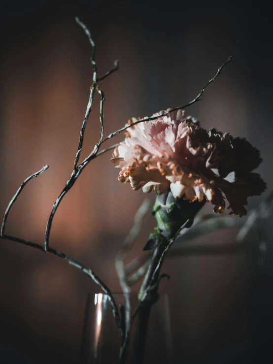 a vase holding flowers with bare nches in the background