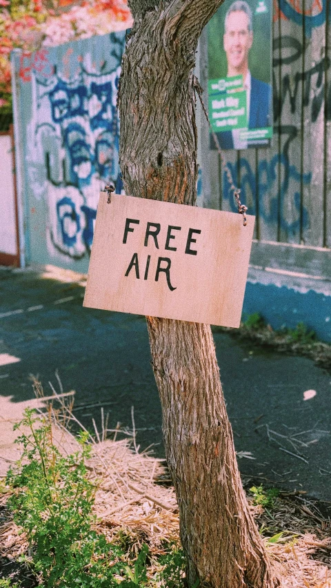 a tree with a free air sign attached to it