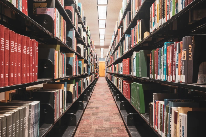 rows of books lined up in a long hallway