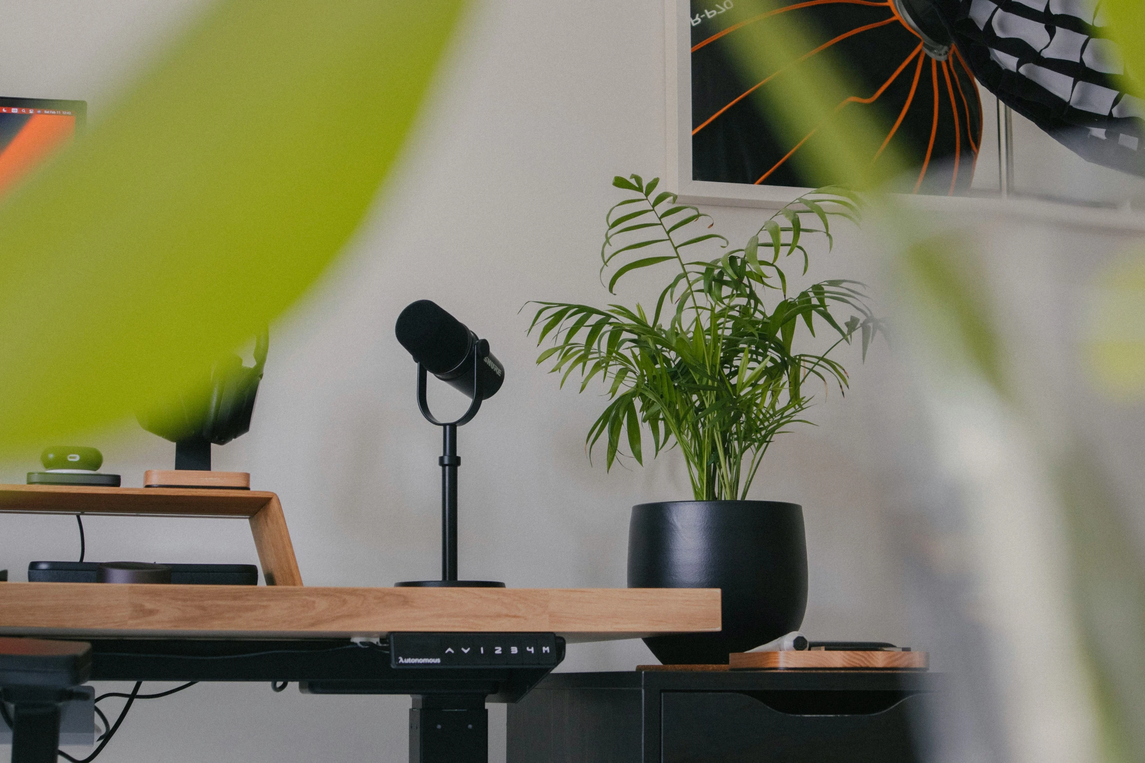 a desk with plants, radio, and microphone