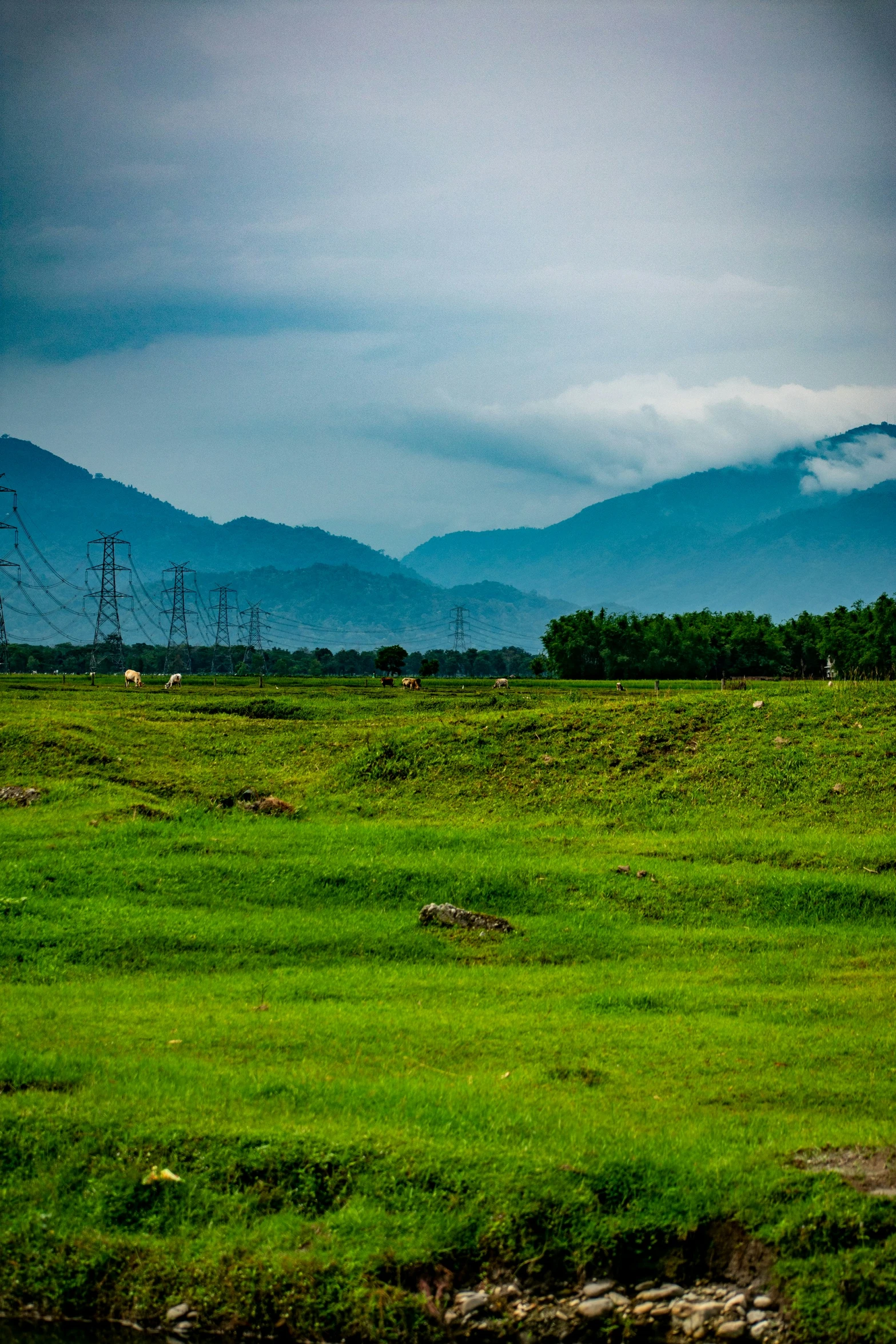 mountains are covered in fog and clouds near the grass