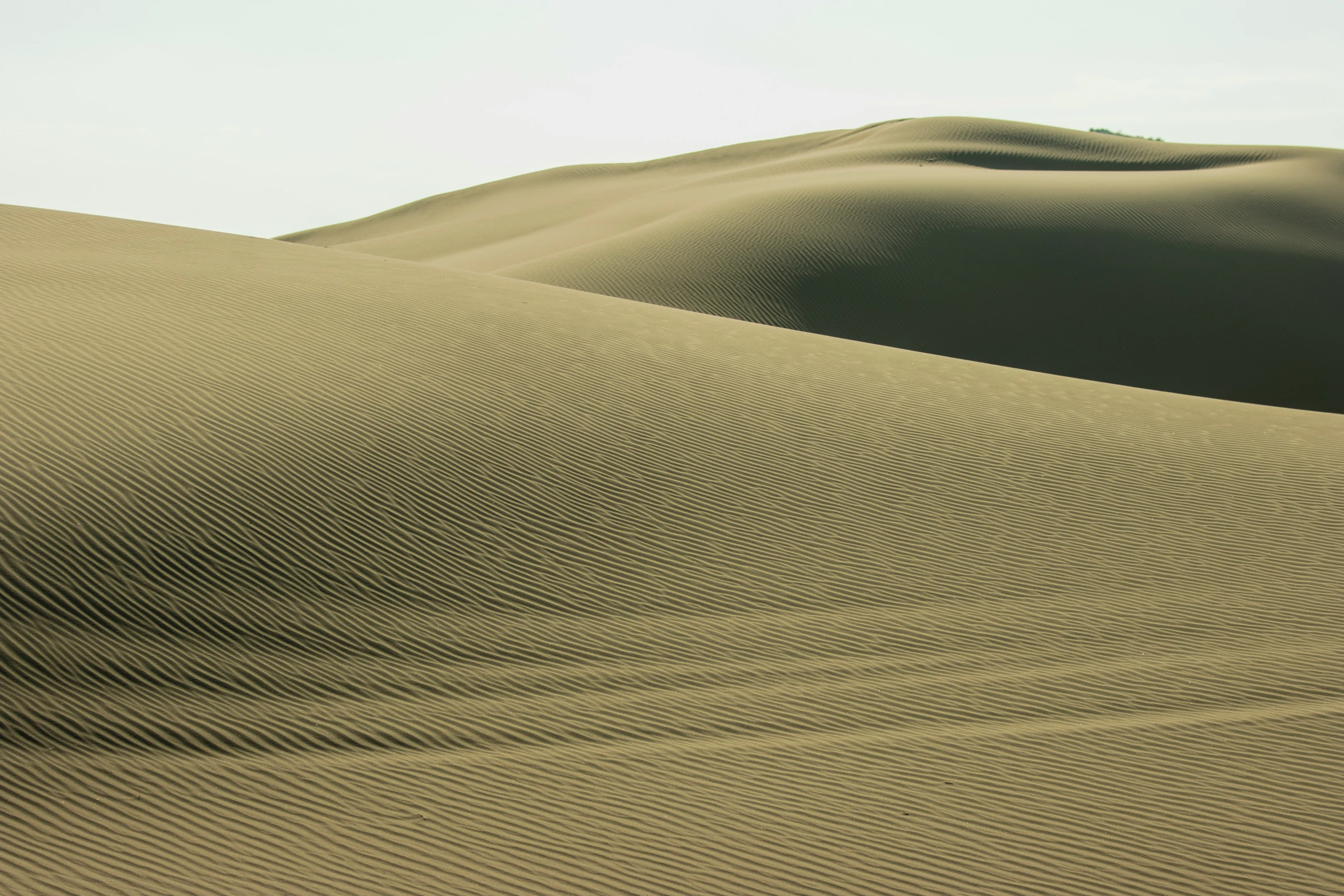 a man riding a skateboard down a sandy desert