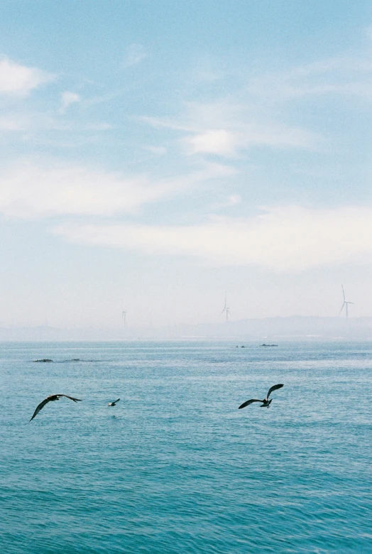 birds are flying low over the ocean water
