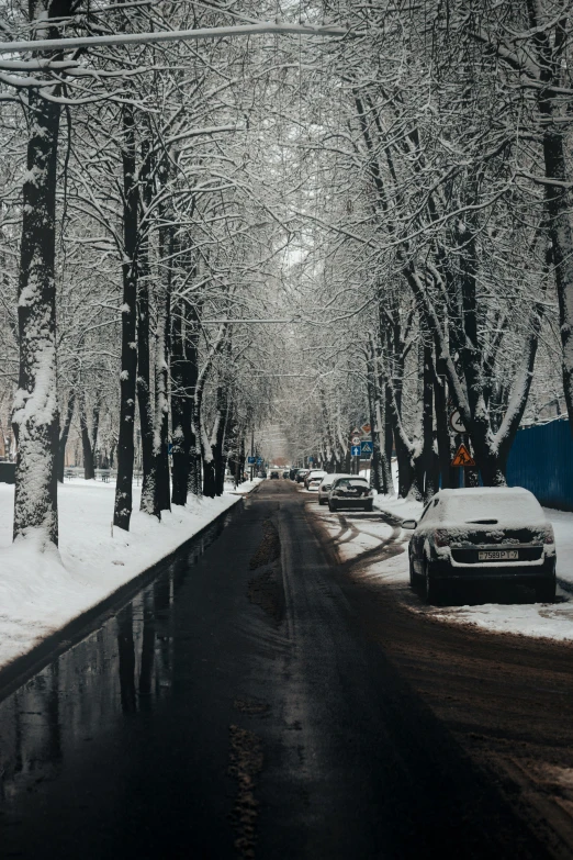 a long, snowy road with parked cars and pine trees on the side