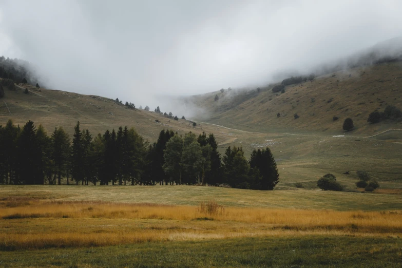 an open field near a grassy hillside and forest